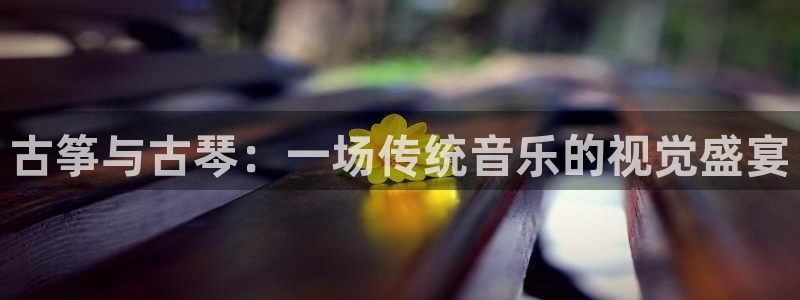 凯发平台开户:古筝与古琴:一场传统音乐的视觉盛宴